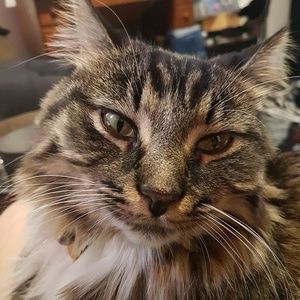 Meet your Posher, Vanessa